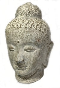 BUDDHA HEAD